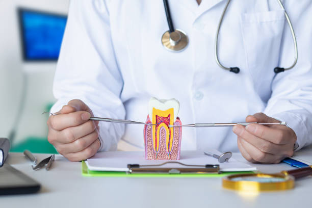 Best Tooth Infection Emergency Dentist  in Monson Center, MA